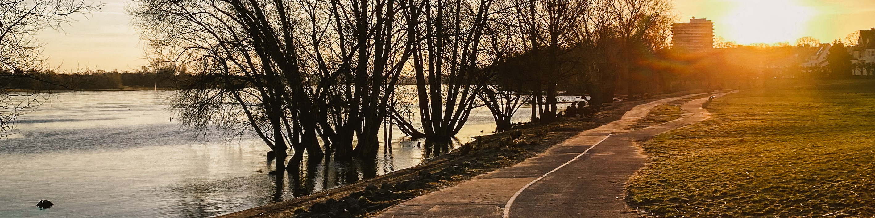 KI generiert: Das Bild zeigt einen ruhigen Fluss mit kahlen Bäumen am Ufer, die sich im Wasser spiegeln. Im Hintergrund ist ein Weg zu sehen, der von der untergehenden Sonne beleuchtet wird.