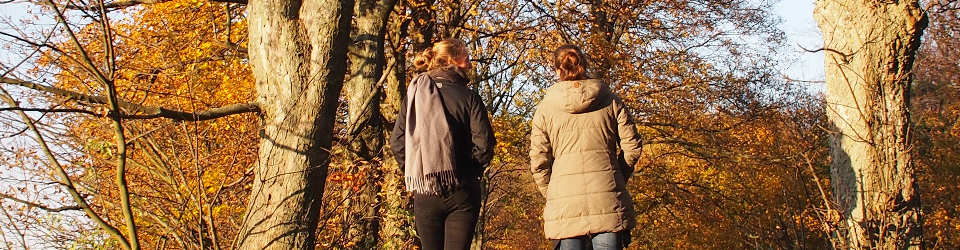KI generiert: Das Bild zeigt zwei Personen, die im Herbst durch einen Wald spazieren. Um sie herum sind Bäume mit buntem Laub zu sehen.