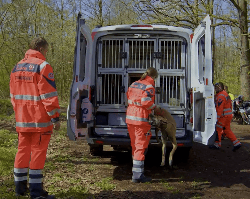 KI generiert: Das Bild zeigt mehrere Personen in orangefarbenen Einsatzanzügen, die einen Hund in einen Transportkäfig in einem Fahrzeug setzen. Im Hintergrund sind ein Wald und ein Motorrad zu sehen.
