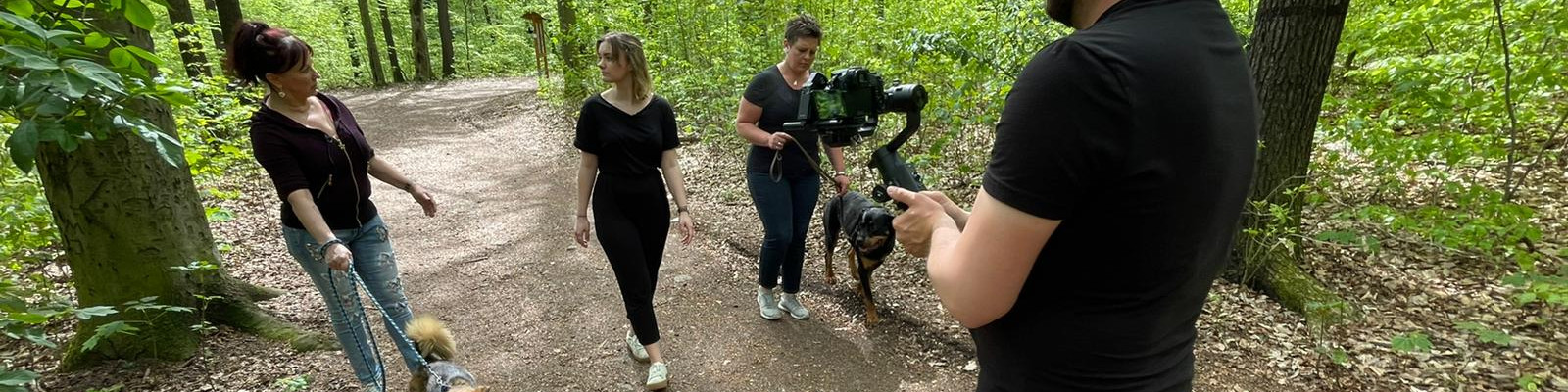 KI generiert: Das Bild zeigt eine Gruppe von Menschen, die in einem Wald auf einem Weg spazieren gehen, begleitet von mehreren Hunden. Einer der Personen filmt oder fotografiert die Szene.