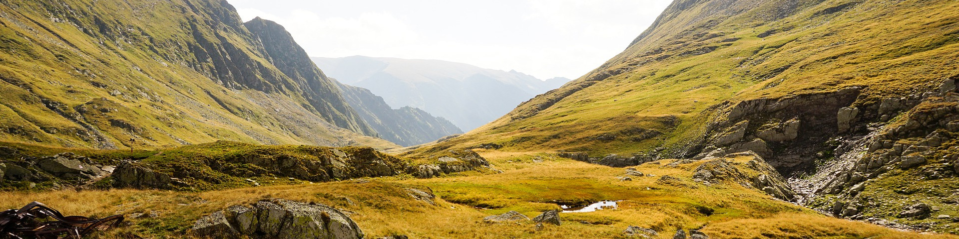 KI generiert: Das Bild zeigt eine weite, grüne Berglandschaft mit sanften Hügeln und einem kleinen Bach, der sich durch das Tal schlängelt. Der Hauptinhalt des Bildes ist die idyllische Natur mit ihren ausgedehnten Wiesen und den umliegenden Bergen.
