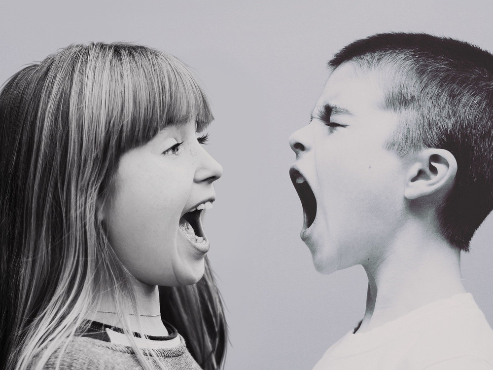 KI generiert: Das Bild zeigt zwei Kinder, ein Mädchen und einen Jungen, die sich gegenüberstehen und sich gegenseitig anschreien. Der Hauptinhalt des Bildes ist der emotionale Konflikt oder die Auseinandersetzung zwischen den beiden Kindern.