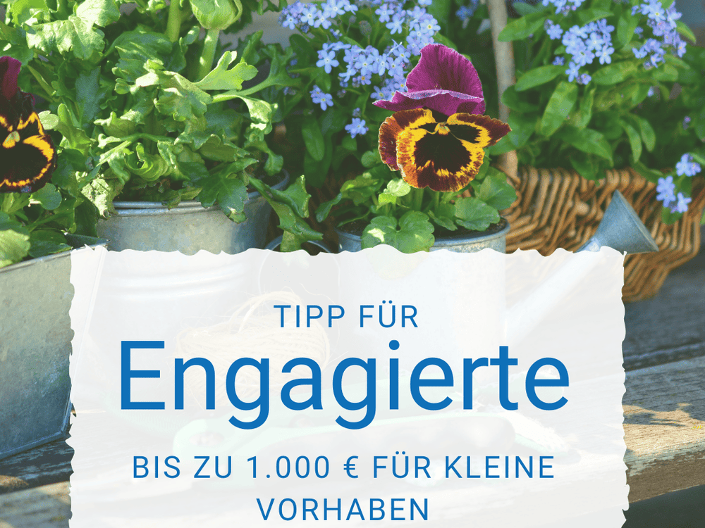 KI generiert: Das Bild zeigt eine gelbe Blüte im Vordergrund, umgeben von kleinen blauen und violetten Blüten. Der Hauptinhalt des Bildes sind die farbenfrohen Blumen vor einem unscharfen, neutralen Hintergrund.