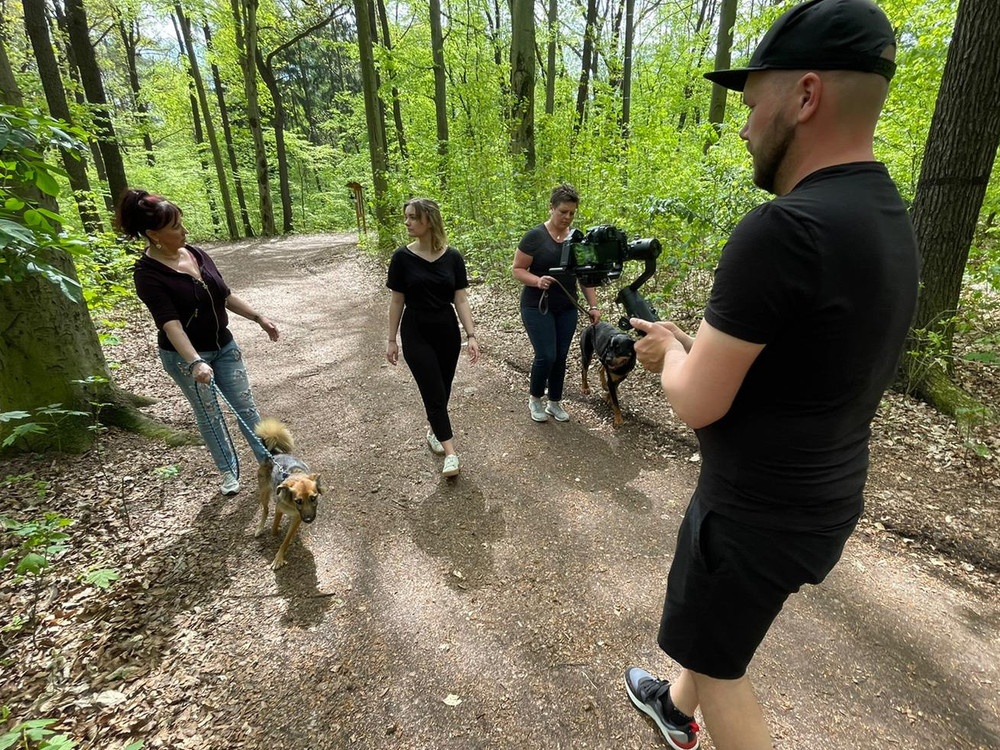 KI generiert: Das Bild zeigt eine Gruppe von Menschen, die in einem Wald auf einem Weg spazieren gehen, begleitet von mehreren Hunden. Einer der Personen filmt oder fotografiert die Szene.