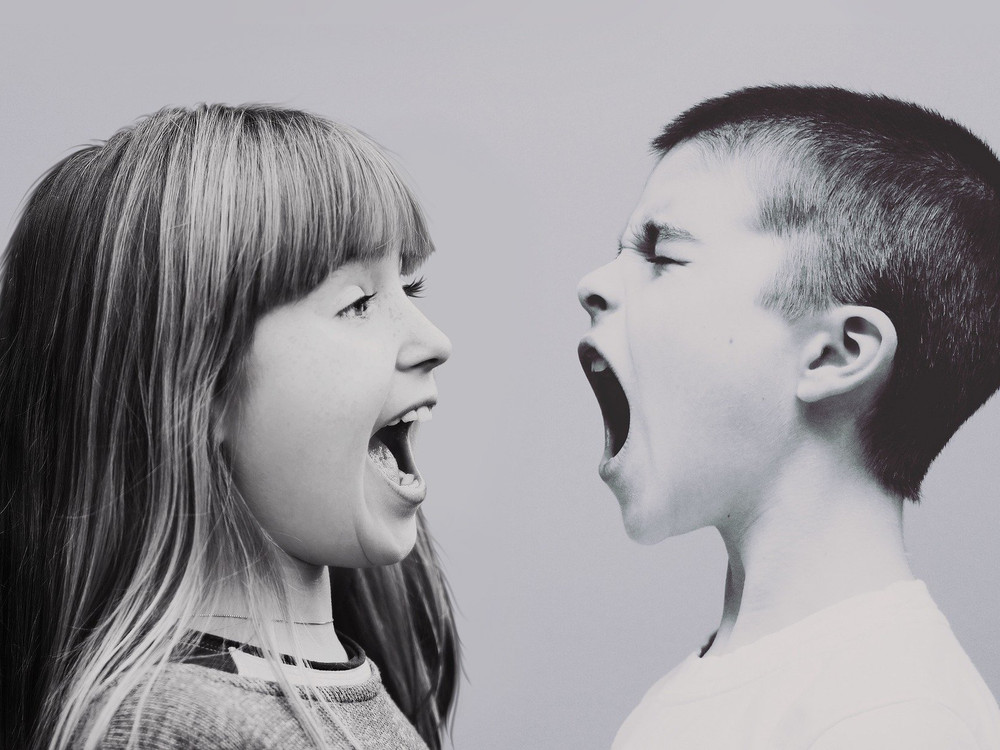 KI generiert: Das Bild zeigt zwei Kinder, die sich gegenüberstehen und sich gegenseitig anschreien. Der Hauptinhalt des Bildes ist ein Streit oder eine Auseinandersetzung zwischen den beiden Kindern.