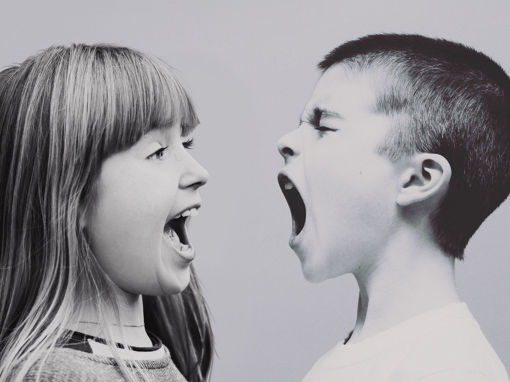 KI generiert: Das Bild zeigt zwei Kinder, ein Mädchen und einen Jungen, die sich gegenüberstehen und sich gegenseitig anschreien. Der Hauptinhalt des Bildes ist ein Streit oder eine Auseinandersetzung zwischen den beiden Kindern.